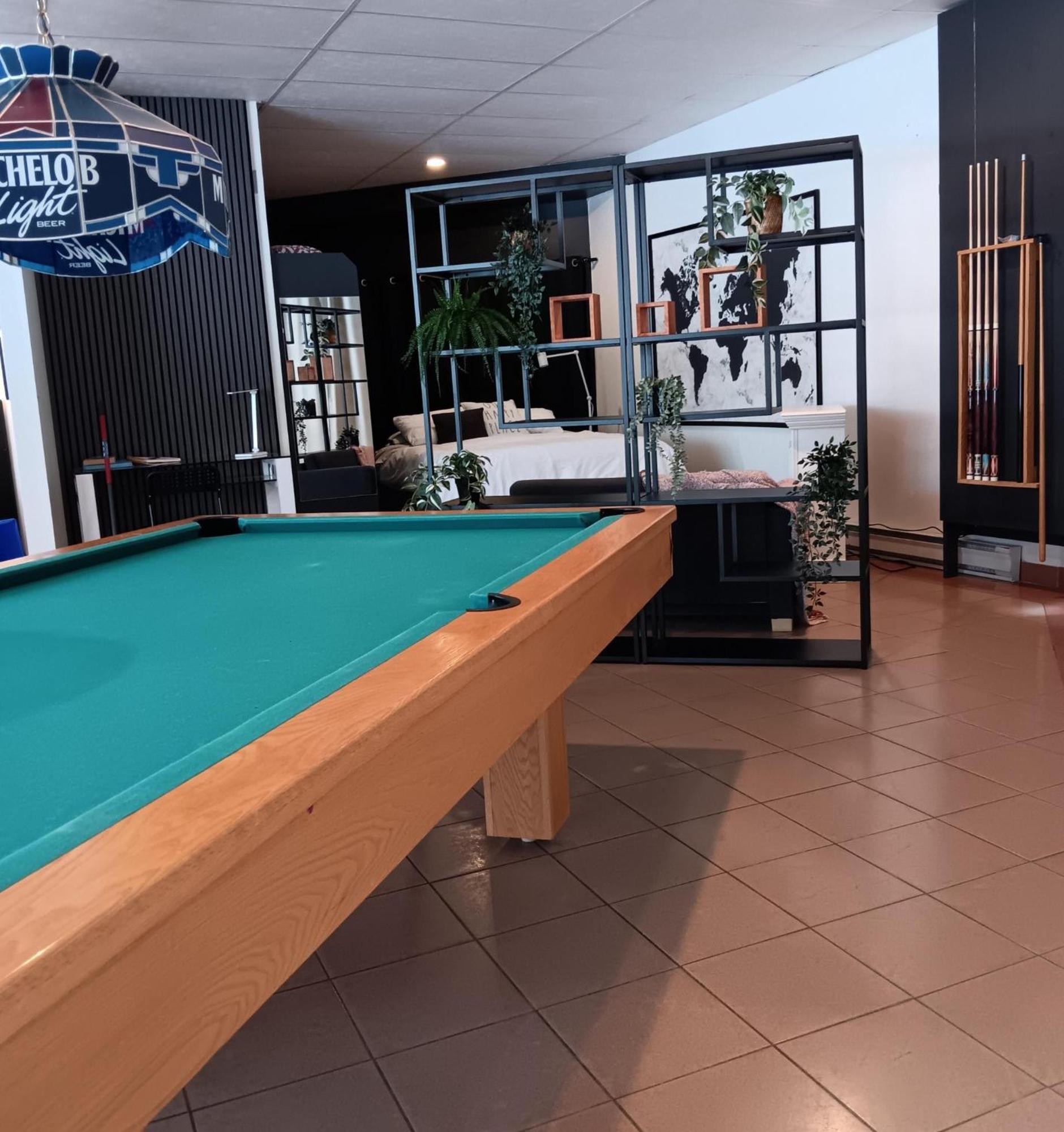 Apartamento Loft Avec Vue A 180 Degre Louiseville Exterior foto